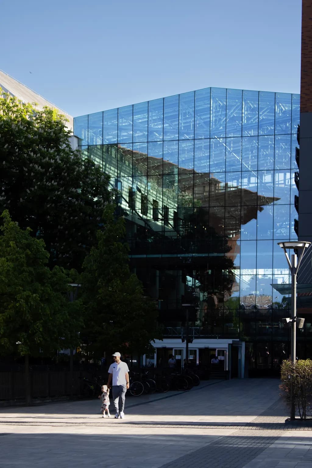 Architectural Reflection