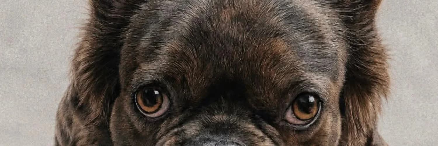 Profilbanner