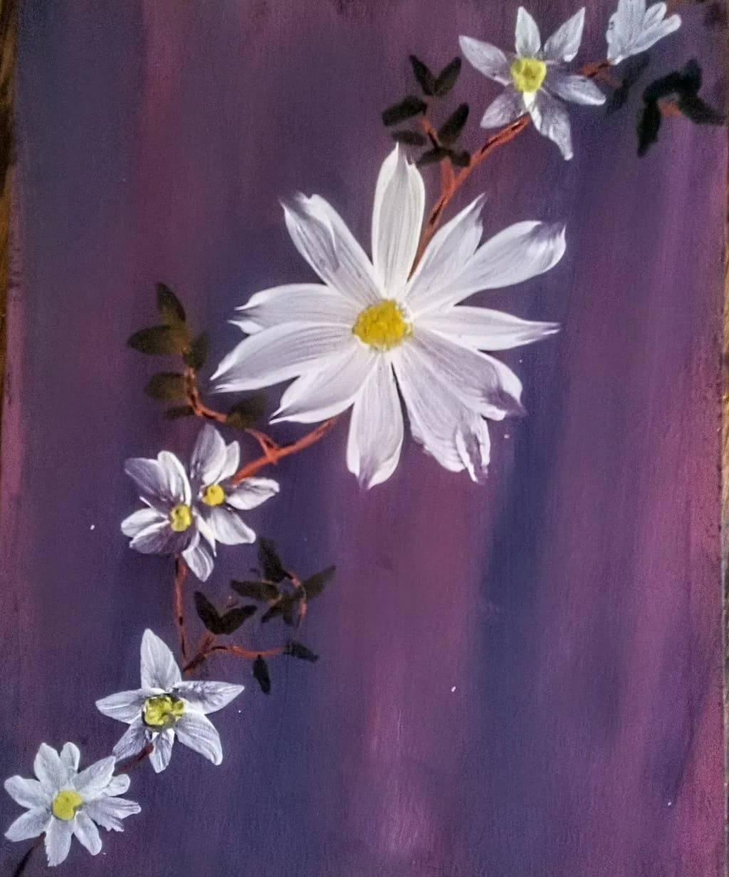 White Daisy Branch