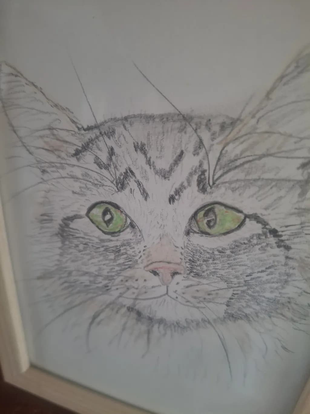 Cat Eyes Portrait