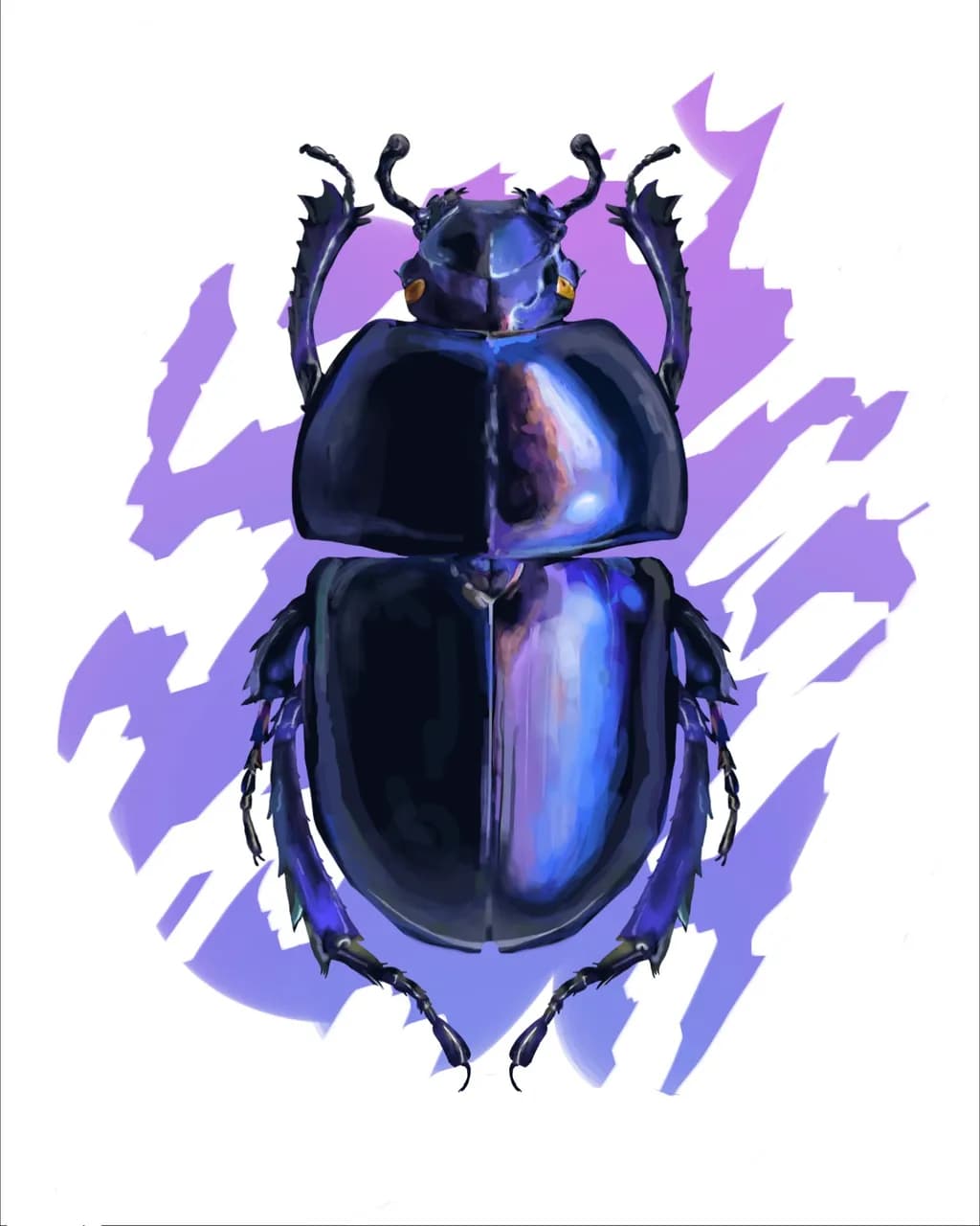 Purple Beetle Study