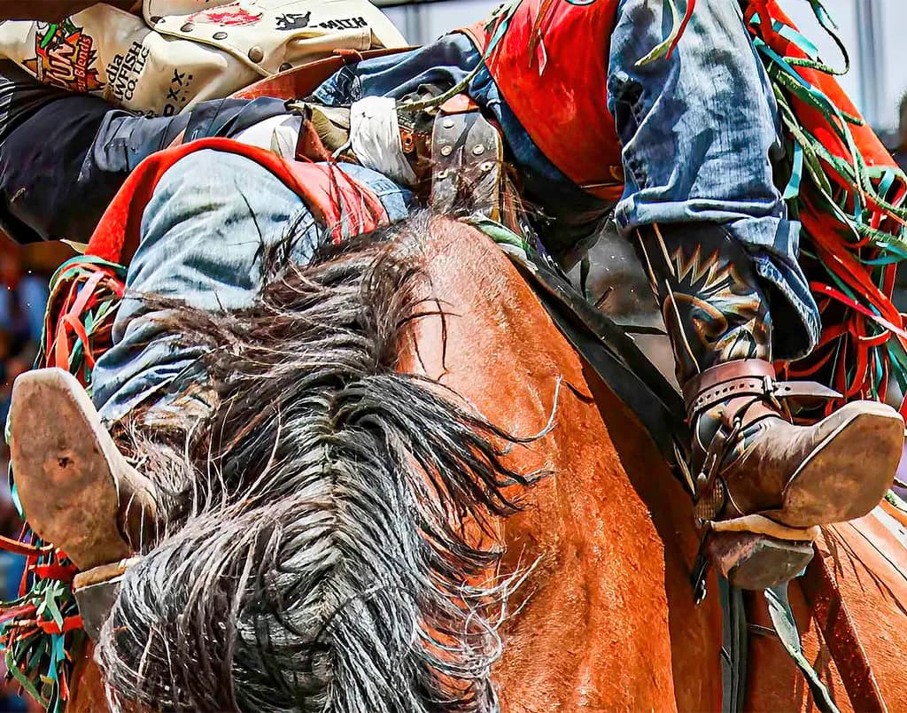 Rodeo Rider in Action