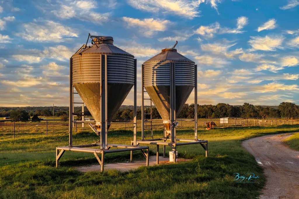 Farm Silos at Sunset