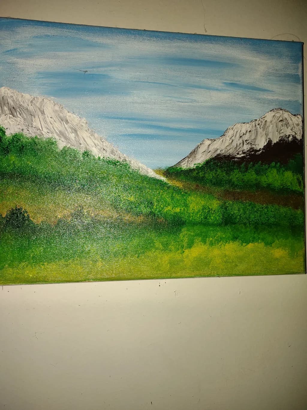 Mountain Valley Landscape