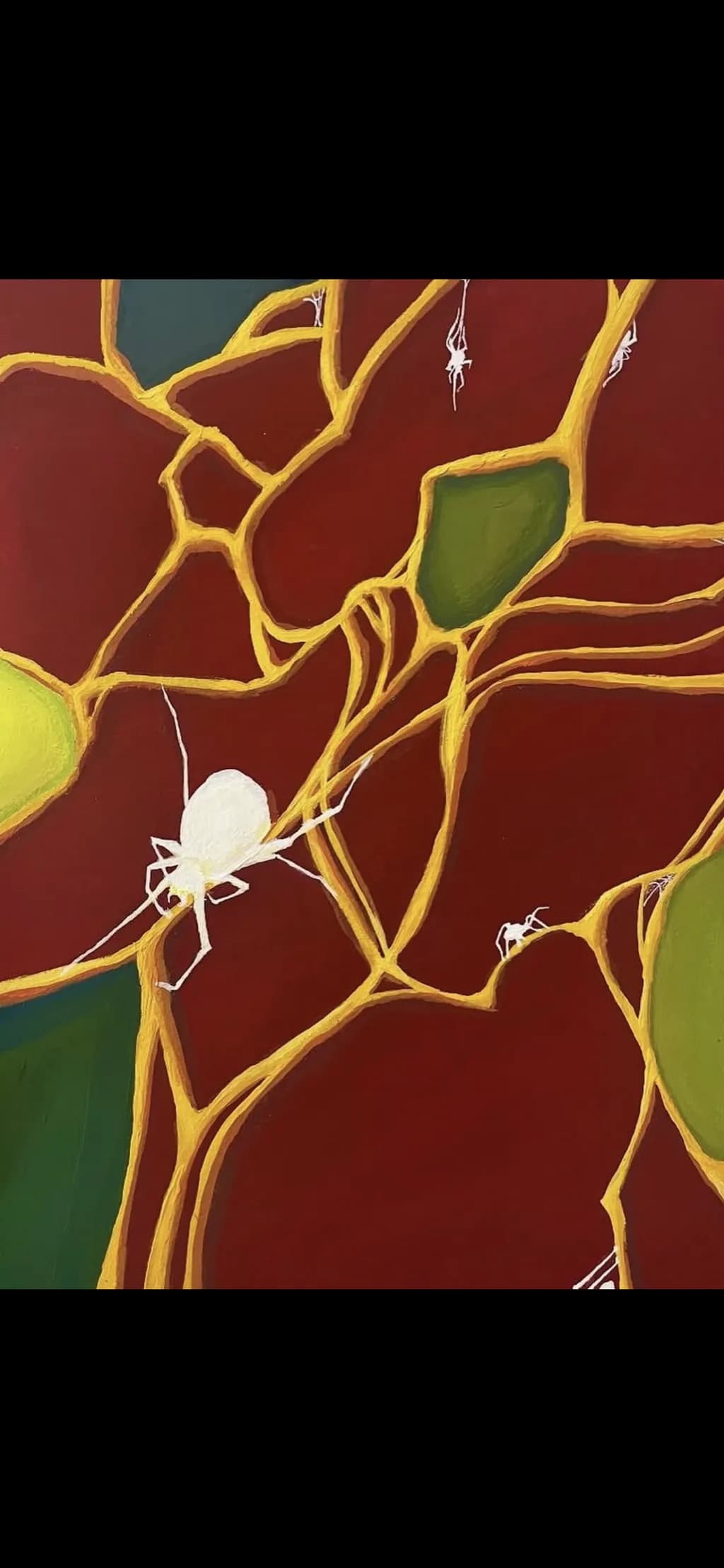 Spider Web Network