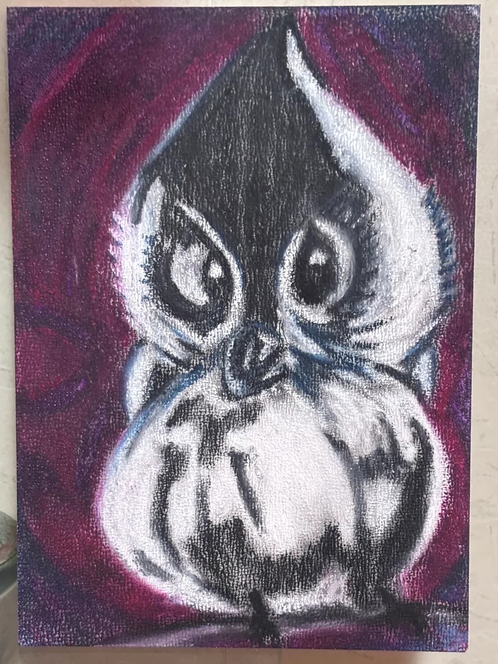 Wide-Eyed Bird