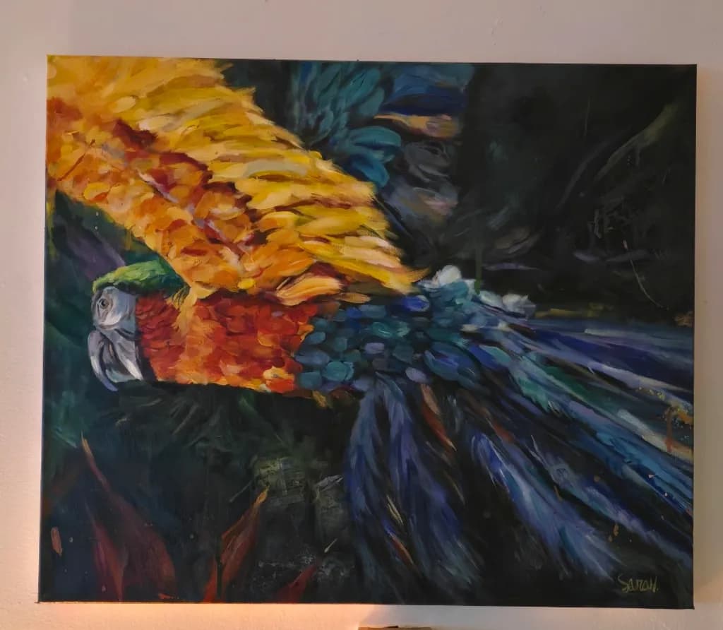 Colorful Parrot Flight