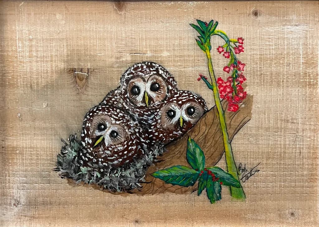 Owls on Branch