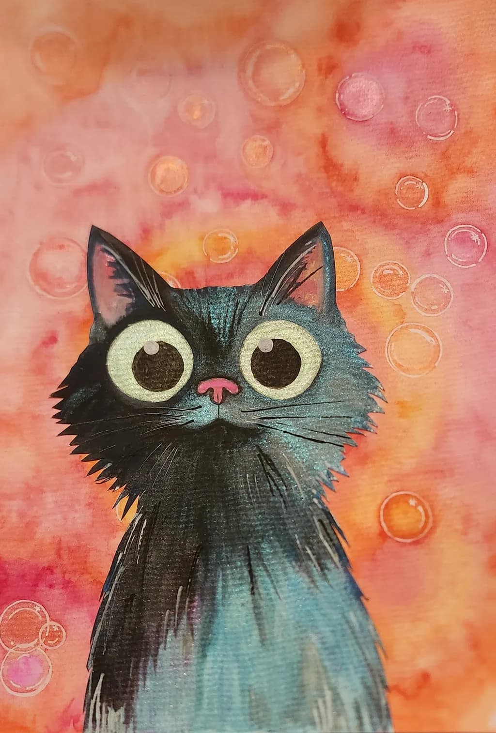 Curious Cat