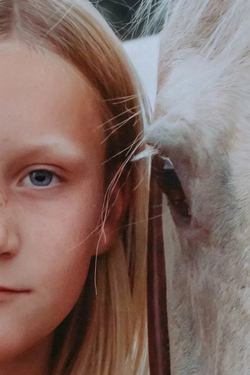 Girl and Horse Close-Up