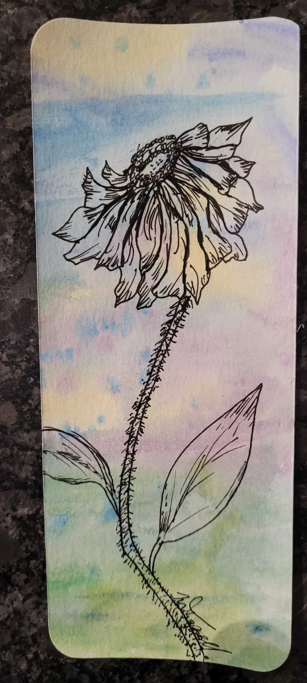 Delicate Flower Stem