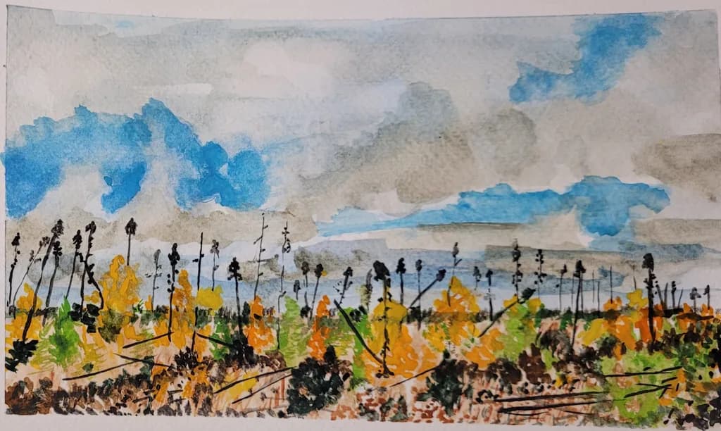 Autumn Field Sky
