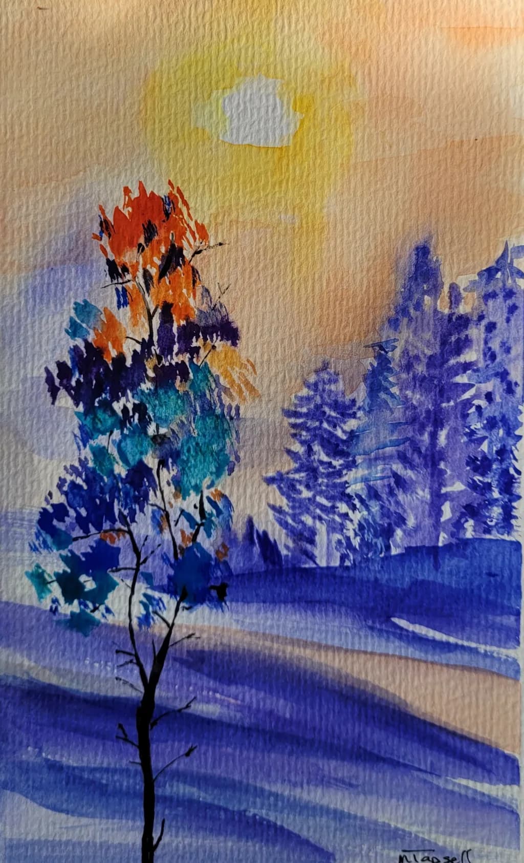 Colorful Tree at Sunset