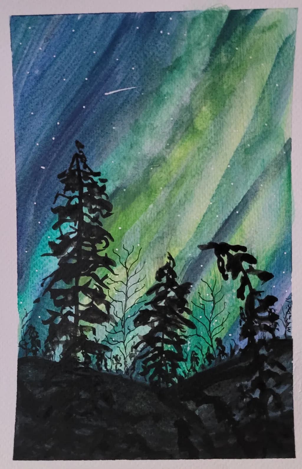 Northern Lights Over Forest