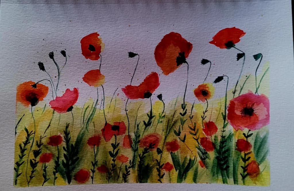 Poppies in Bloom