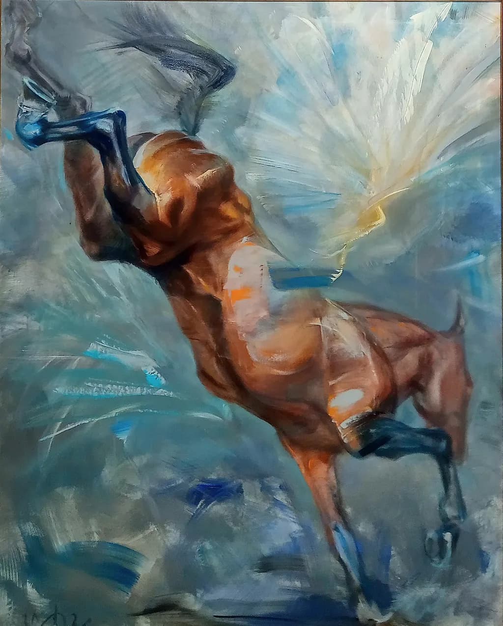 Hyperbola Horse