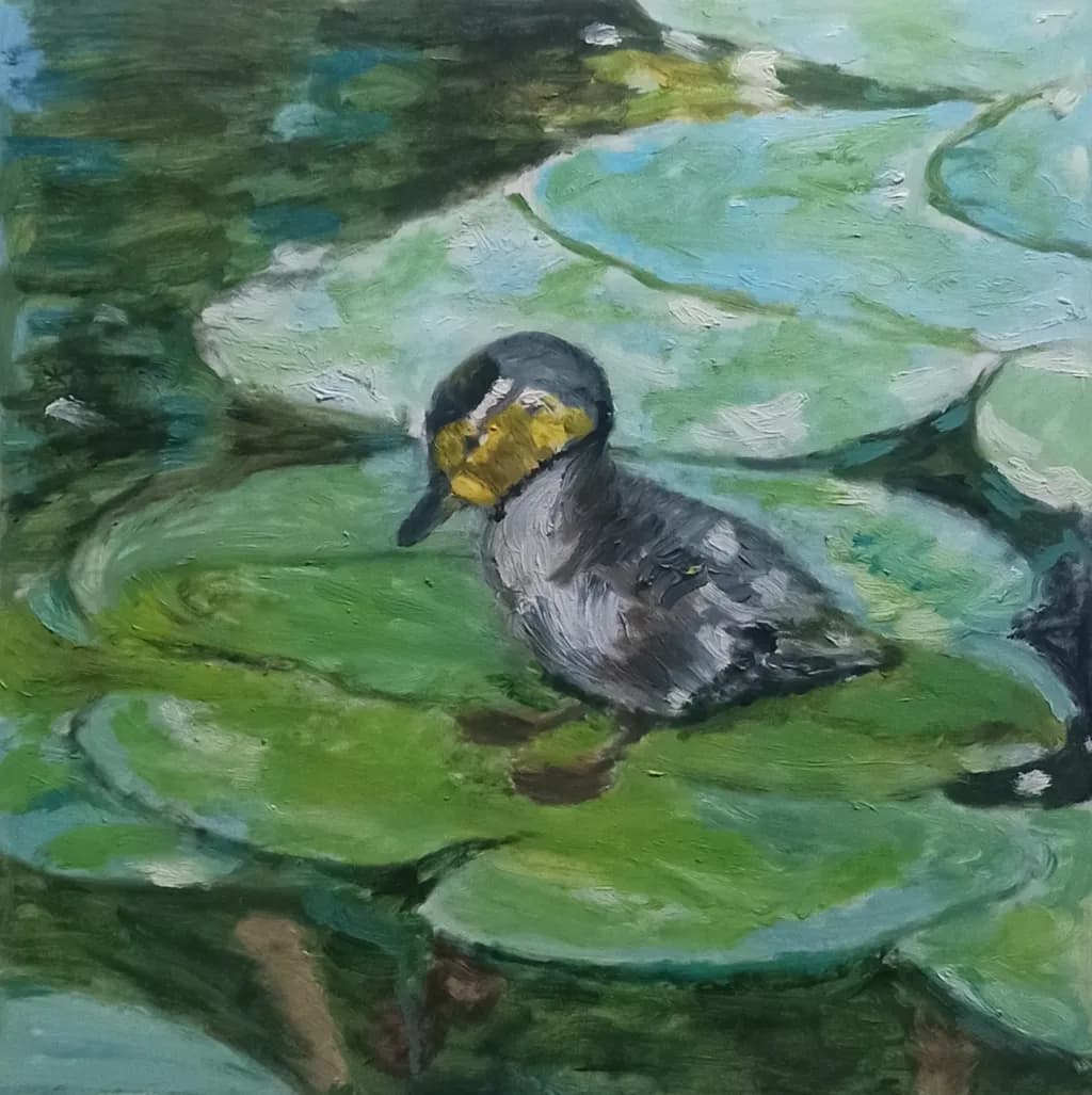 Duck on Pond Lilies