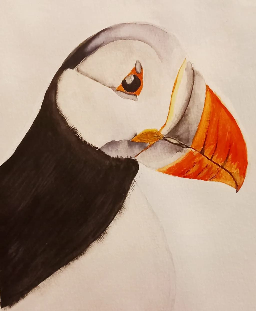 Puffin Portrait