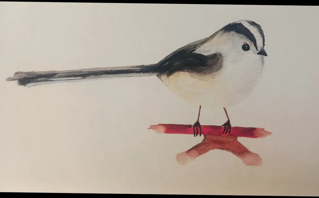 Long-Tailed Bird on Branch