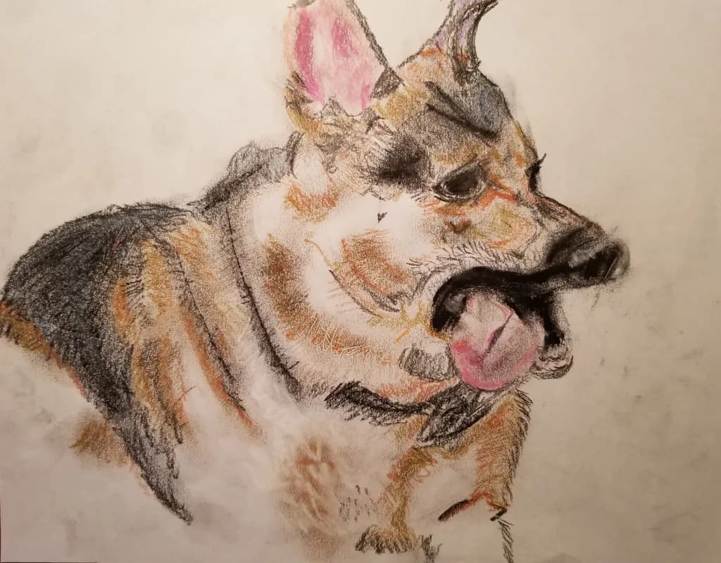 Colorful Dog Sketch