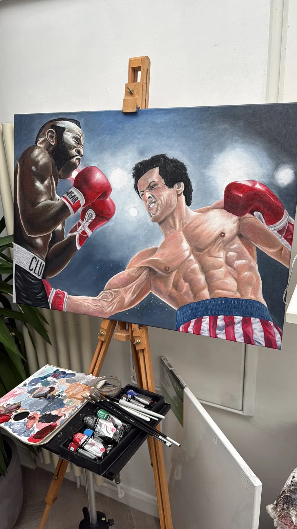 Boxing Showdown