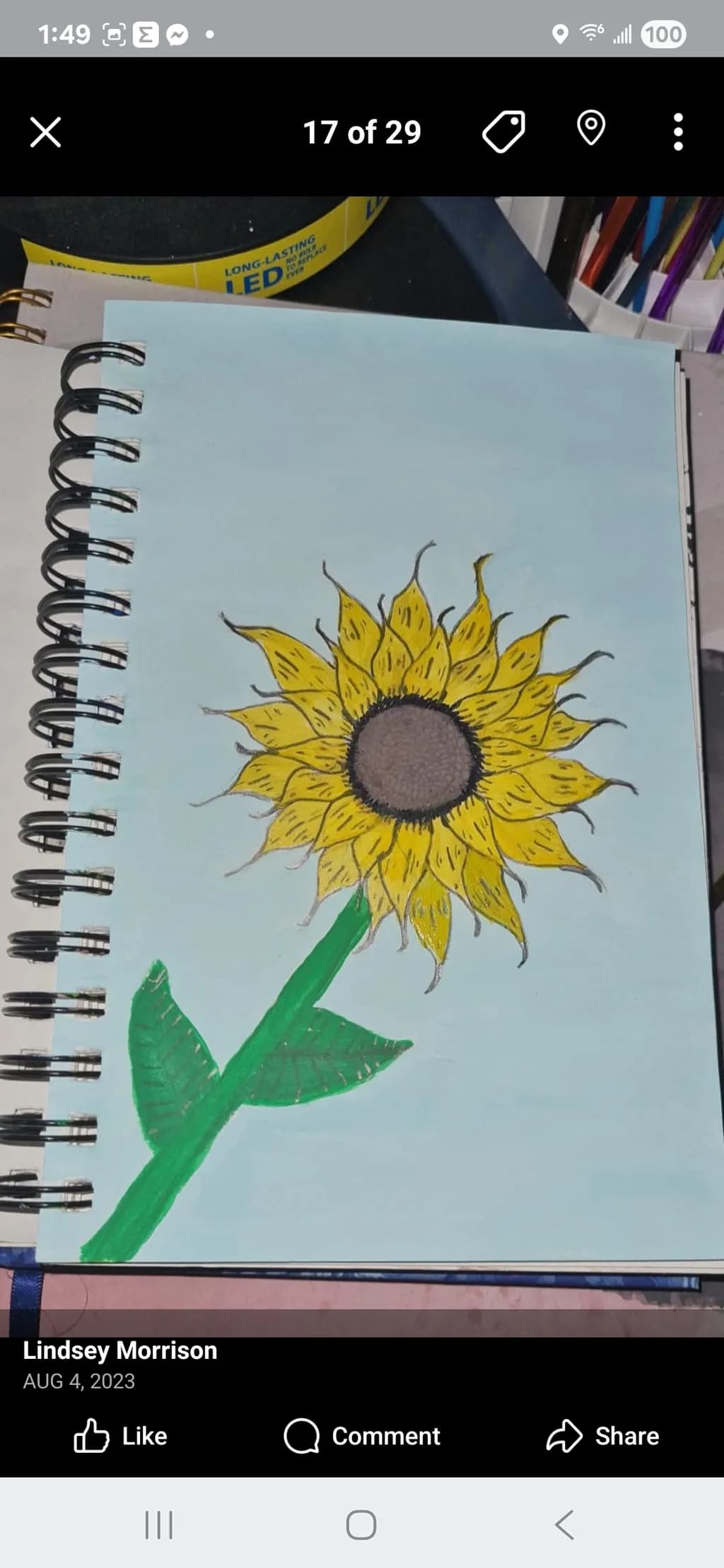 Sunflower Sketchbook Drawing