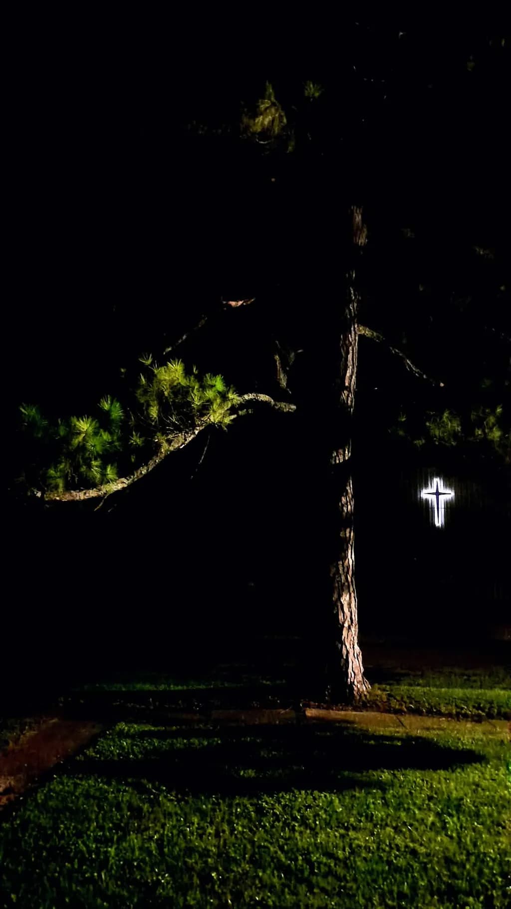 Night Tree with Cross
