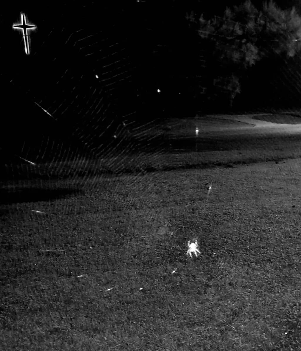 Spider Web Cross