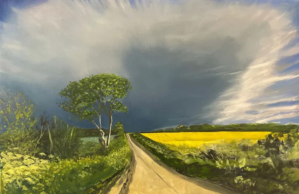 Countryside Road and Fields