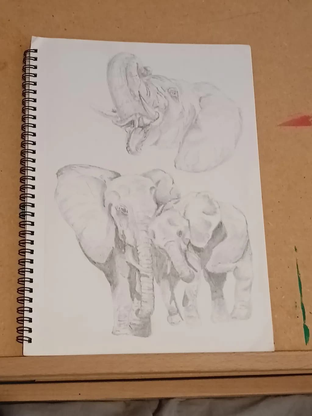 Elephant Family Study