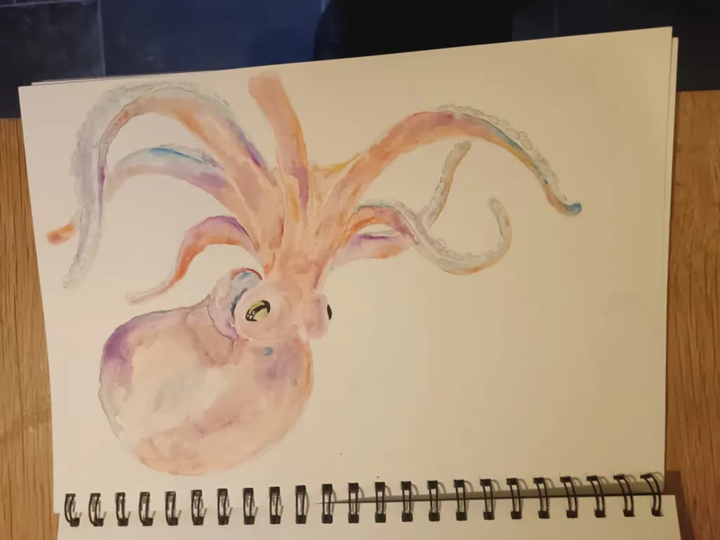 Delicate Squid Study