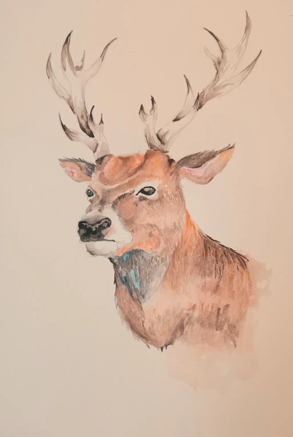 Deer Portrait