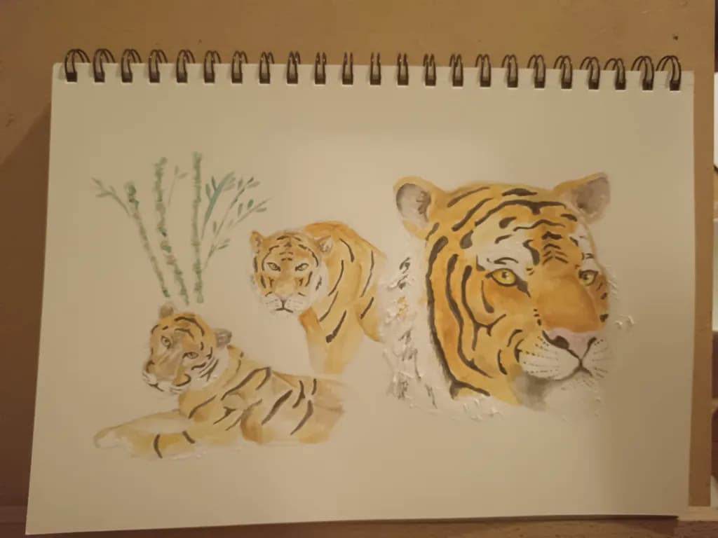 Tiger Trio Portrait