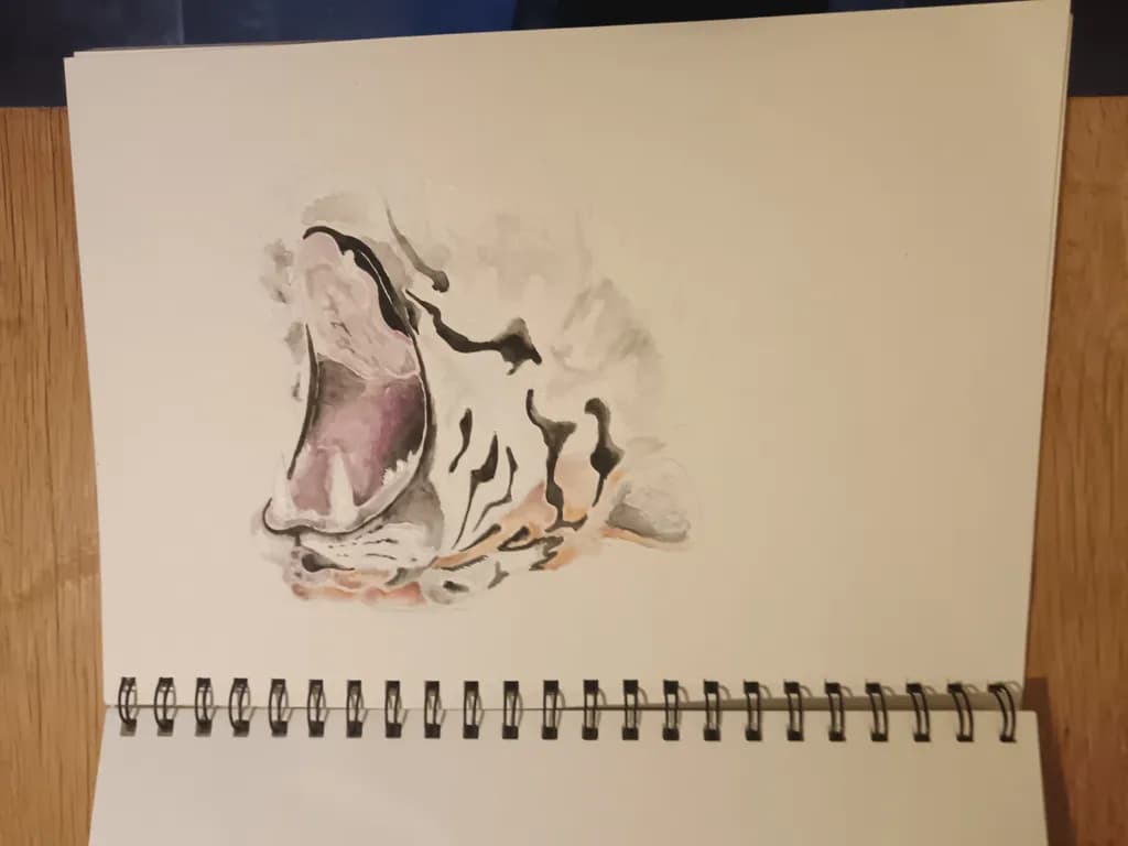 Yawning Tiger Portrait