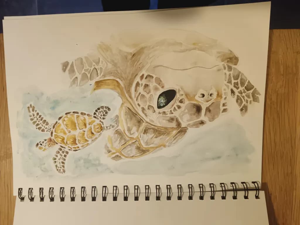 Sea Turtles Swim