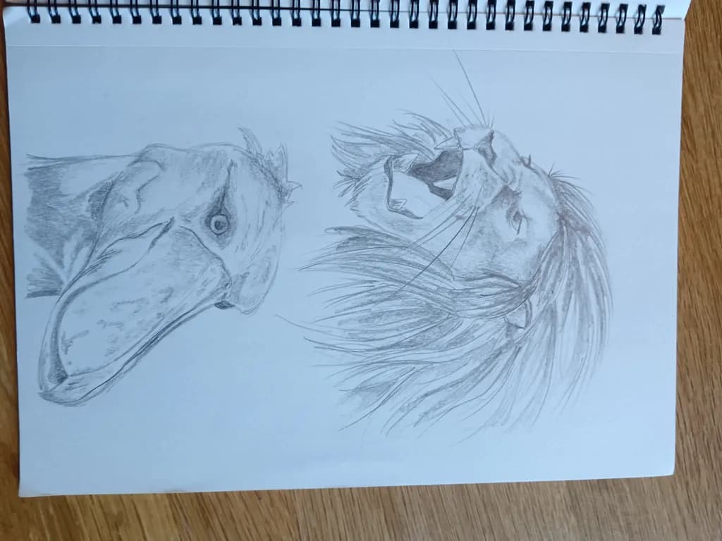 Lion and Shoebill Portraits