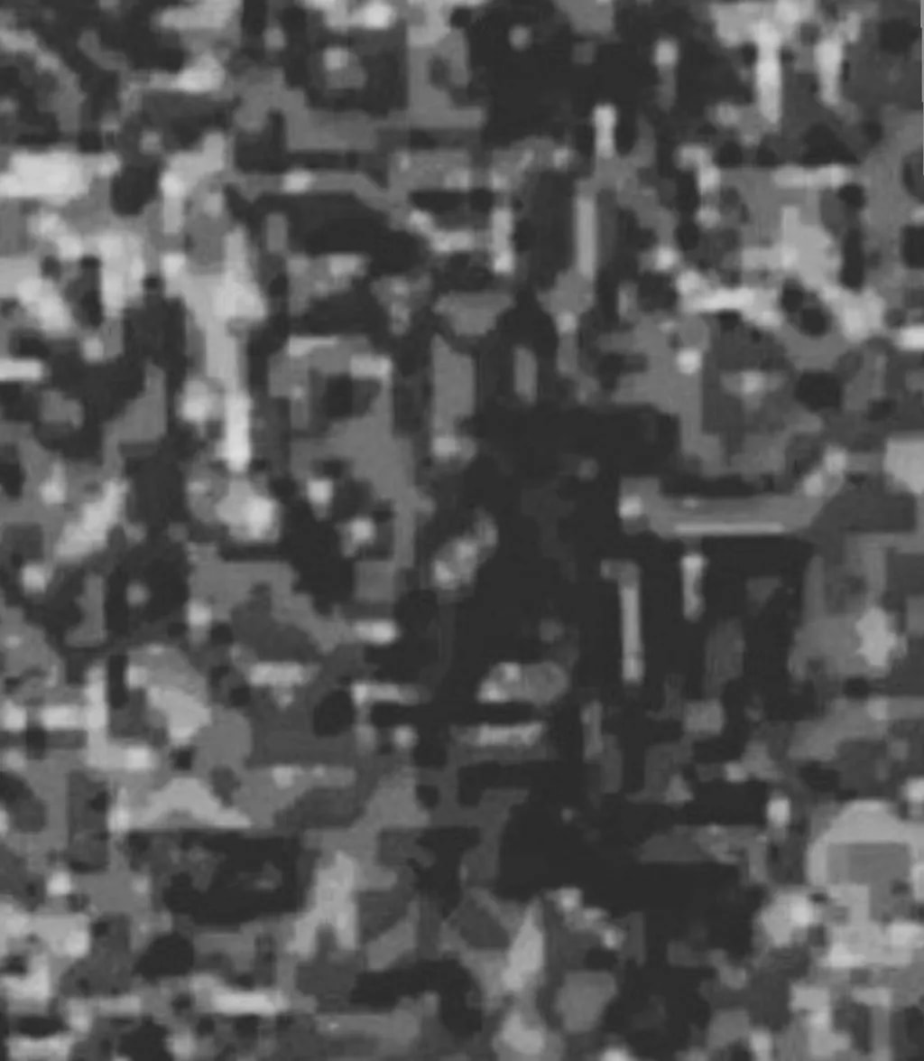 Monochrome Camouflage Pattern
