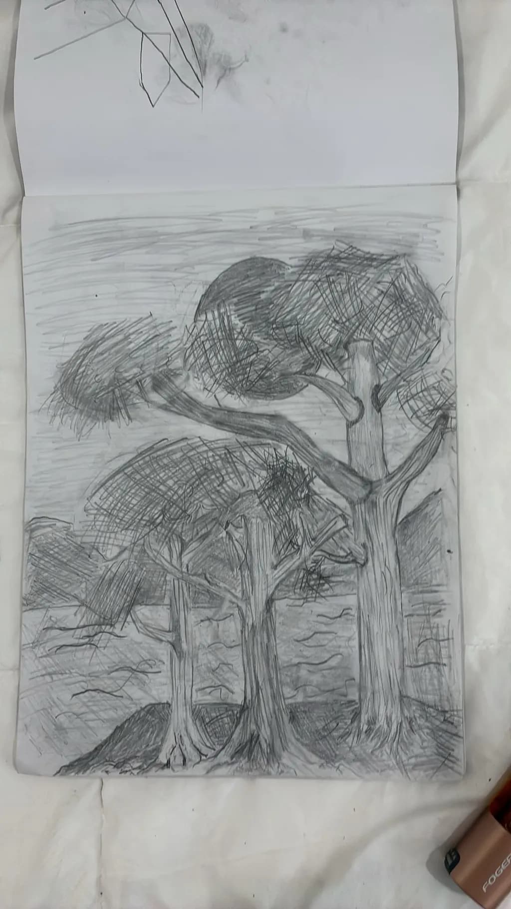 Forest Trio