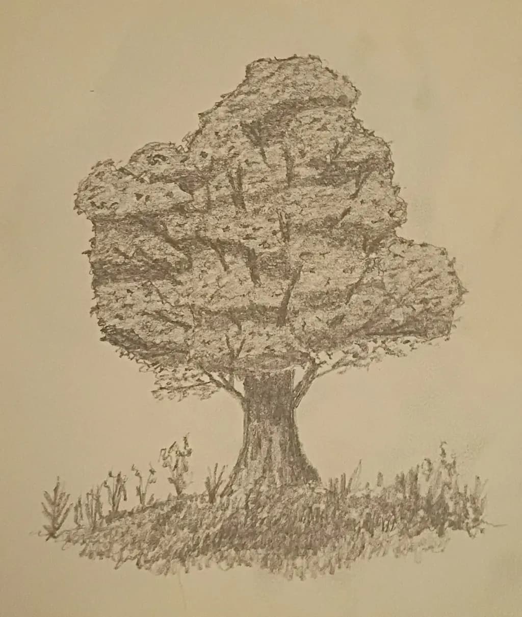 Solitary Tree
