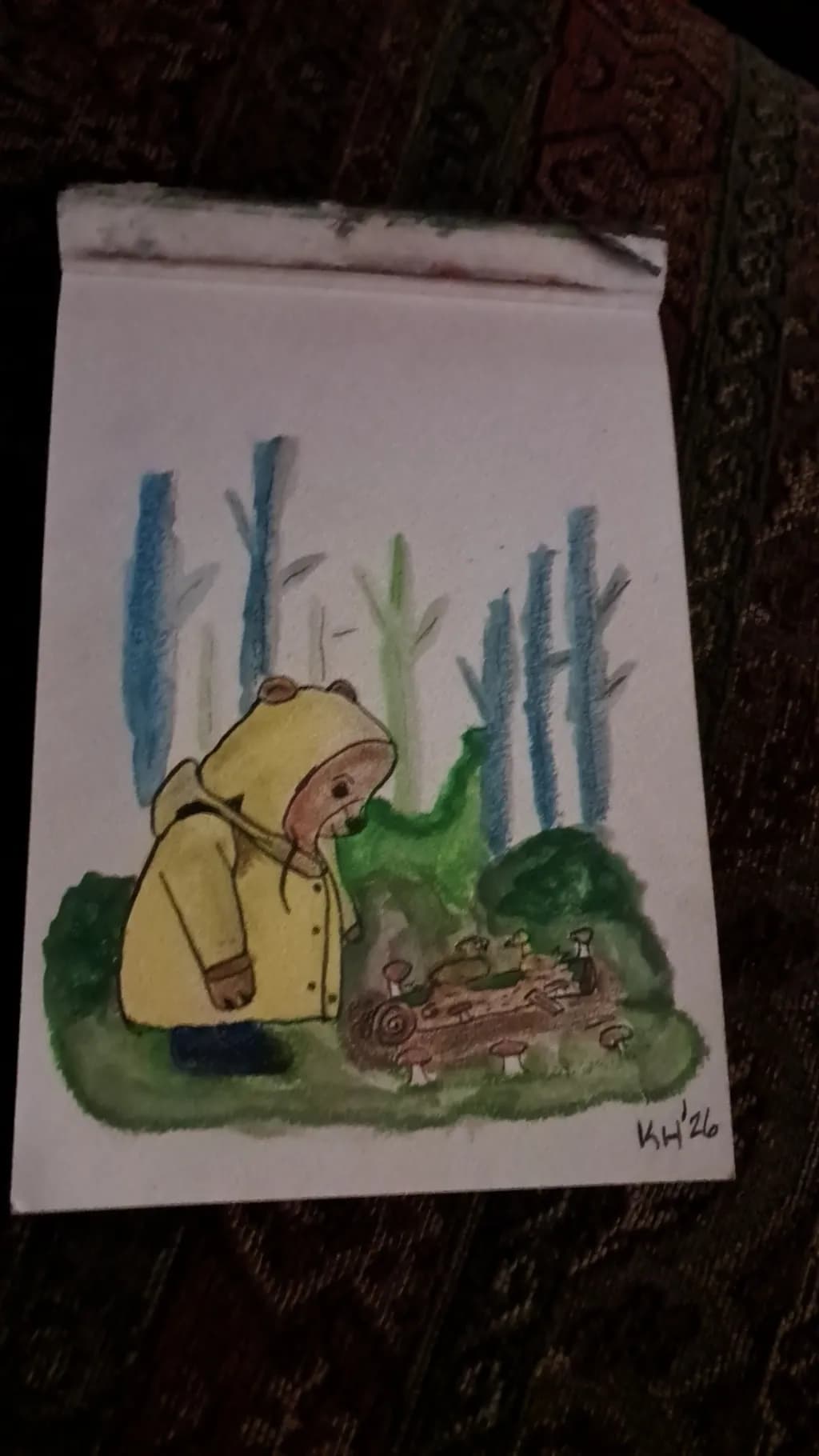 Forest Bear in Raincoat