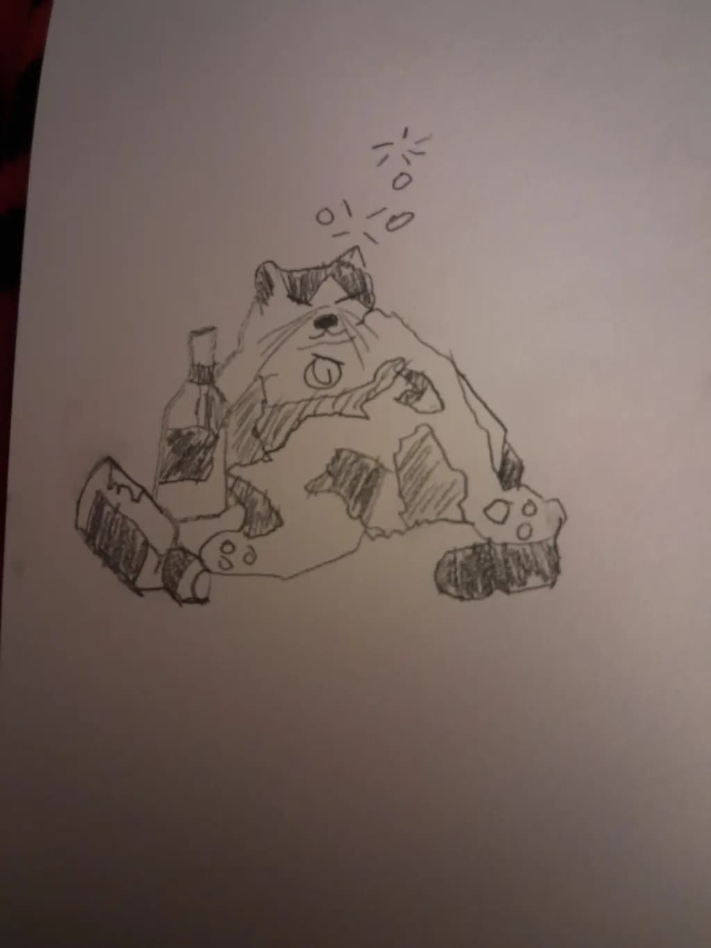Drunken Raccoon Sketch