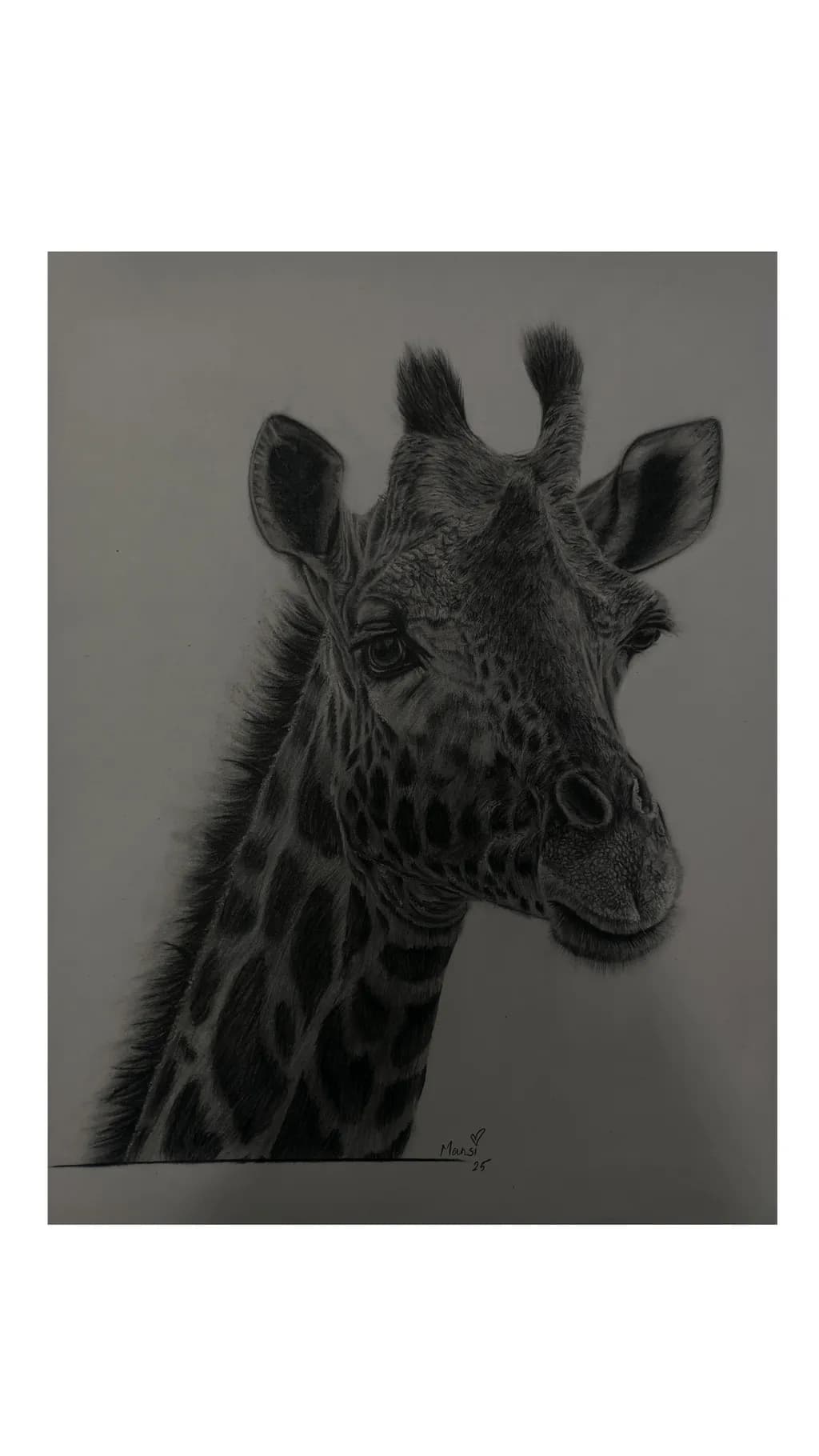 Giraffe Portrait