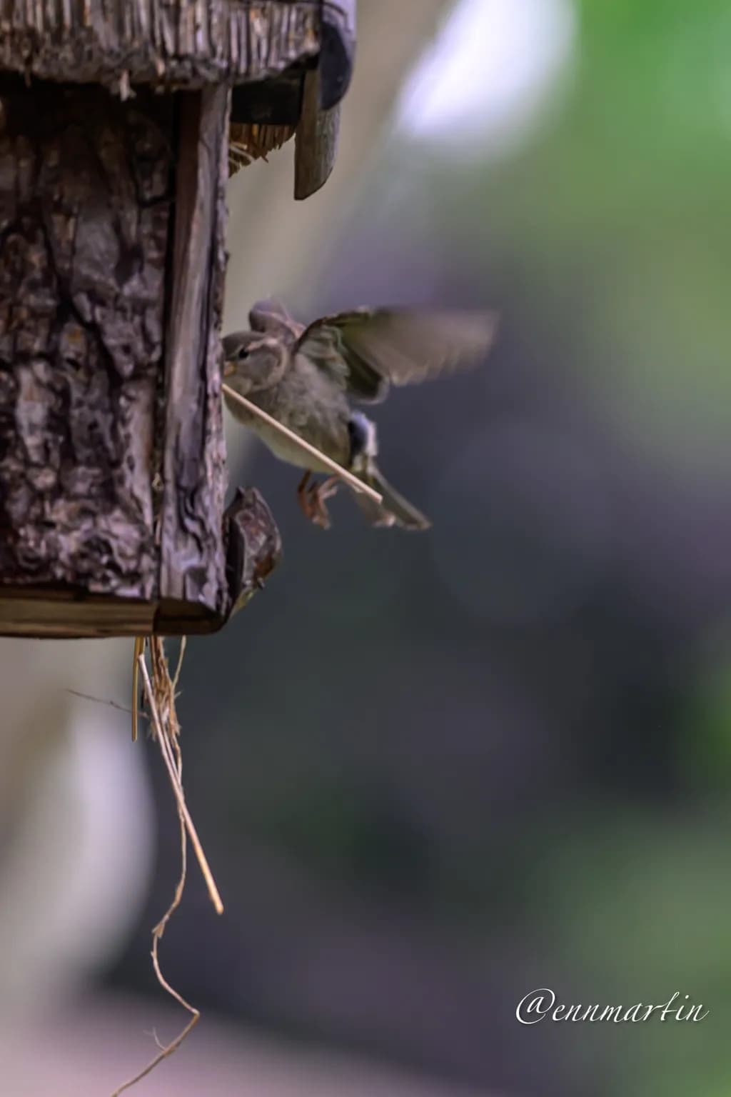 Birdhouse Builder