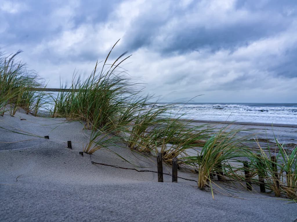 Dune Grass Under Clouded Skies