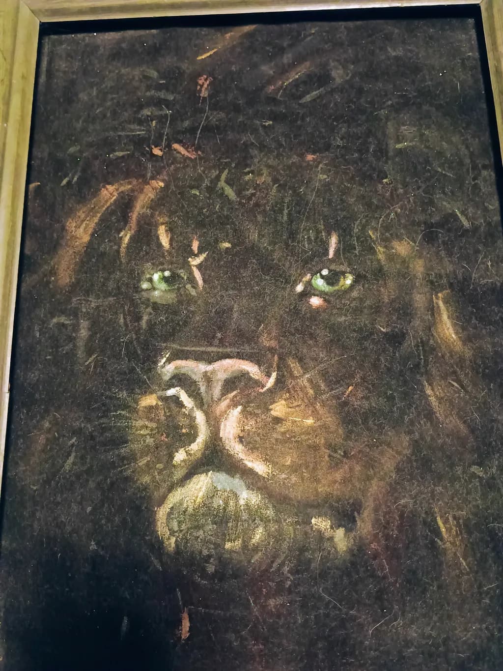 Lion Portrait Dark