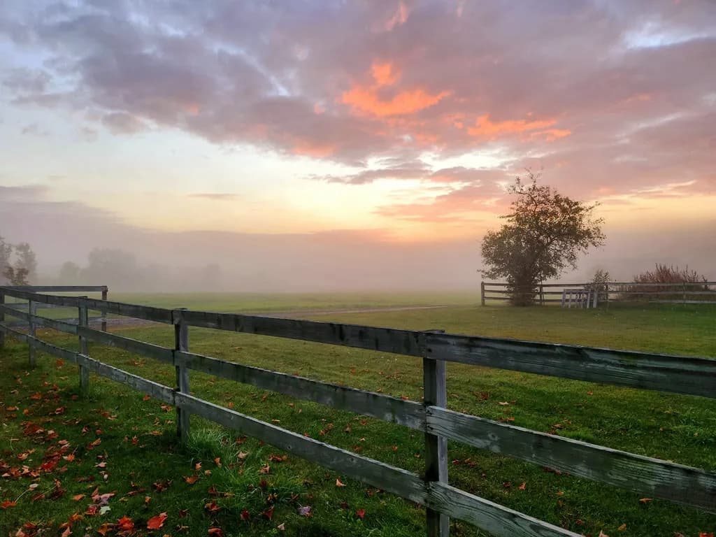 Field Fence at Sunset