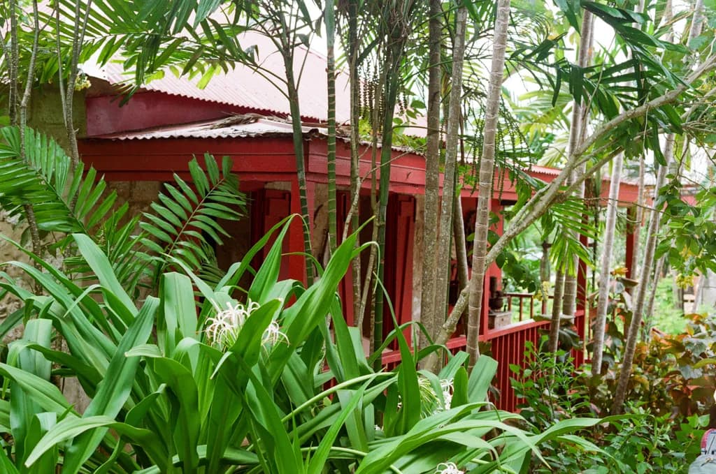 Tropical Red House
