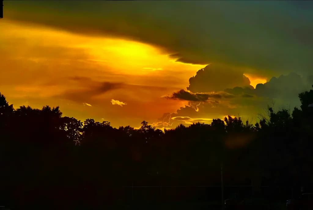 Golden Sunset Silhouettes