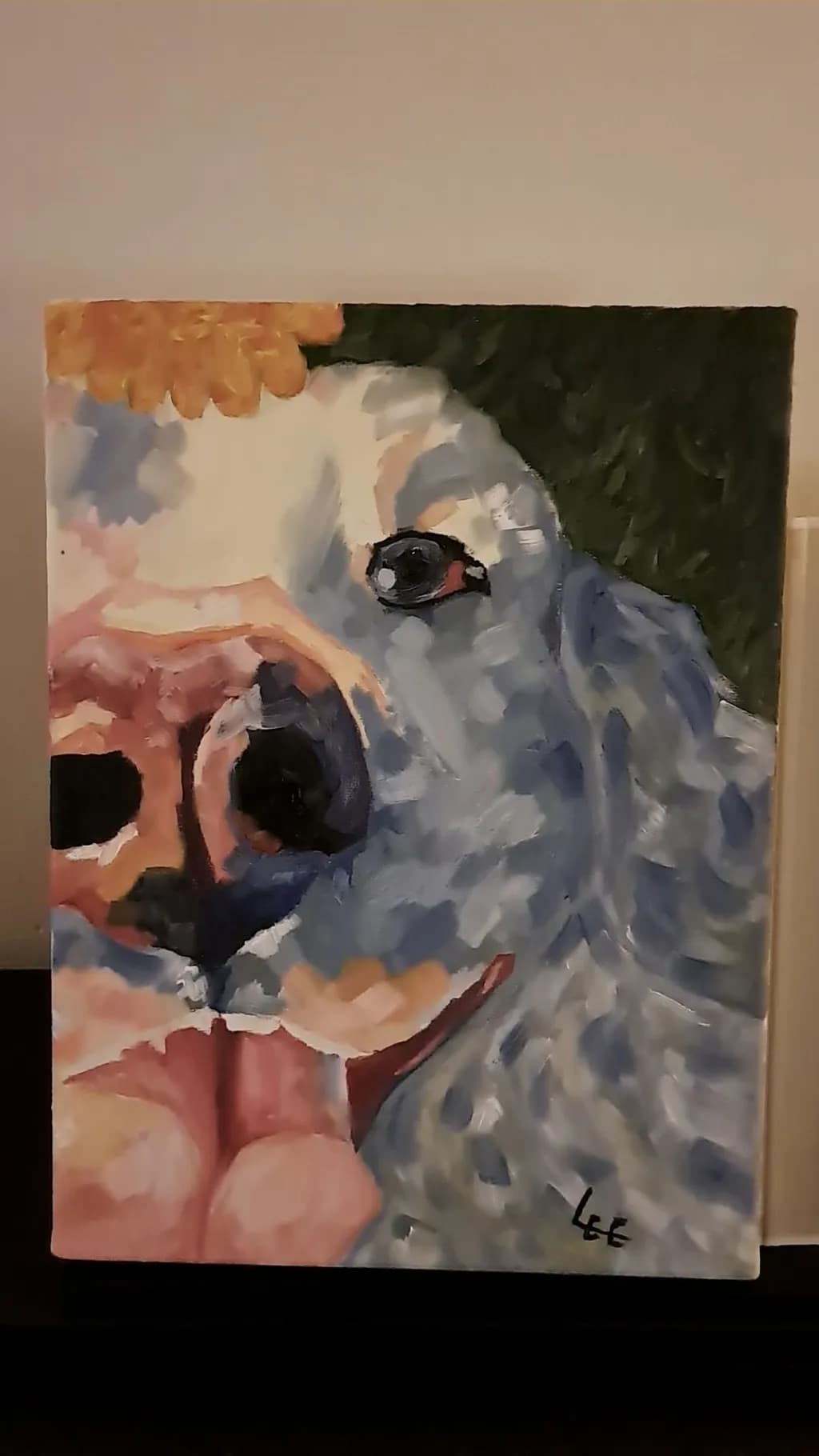 Dog Close-Up