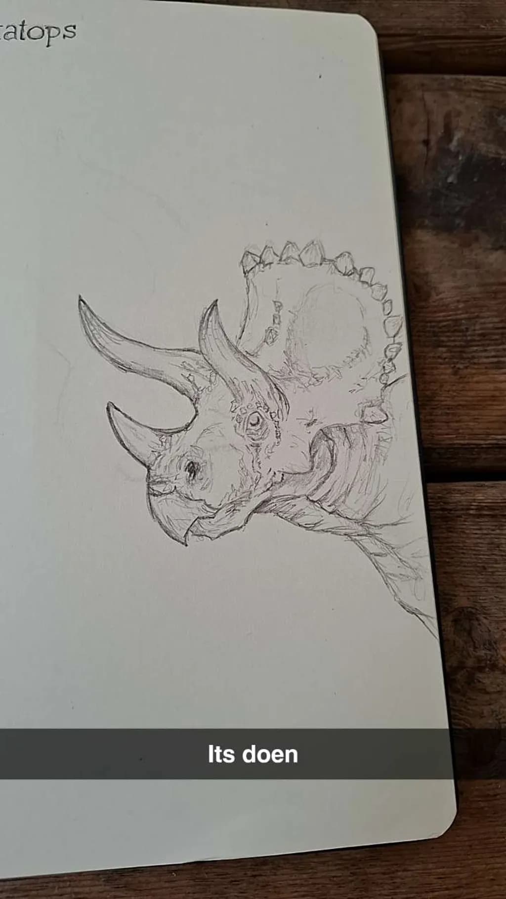 Triceratops Sketch